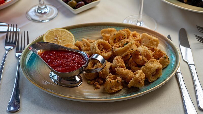 Fried calamari appetizer